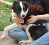 Duke: (Marshall) adopted