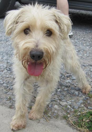 Sammy: adopted