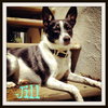 Jill: Perfect little girl