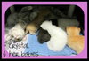 Crystal and tiny kits: Transferred