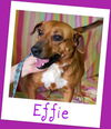 Effie: transferred