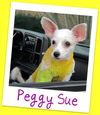 Peggy Sue: adopted!