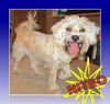 Nitro: adopted