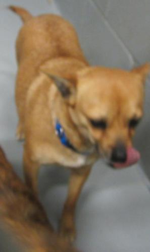 Marci: adopted
