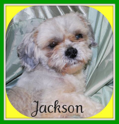 Jackson: reclaimed