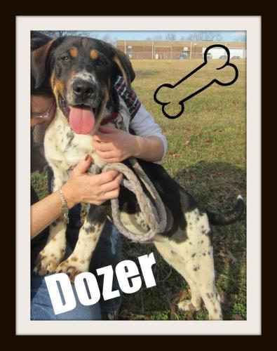 Dozer: transferred