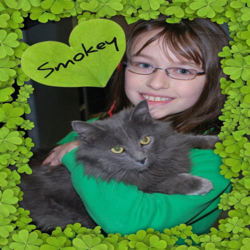 Smokey: transferred