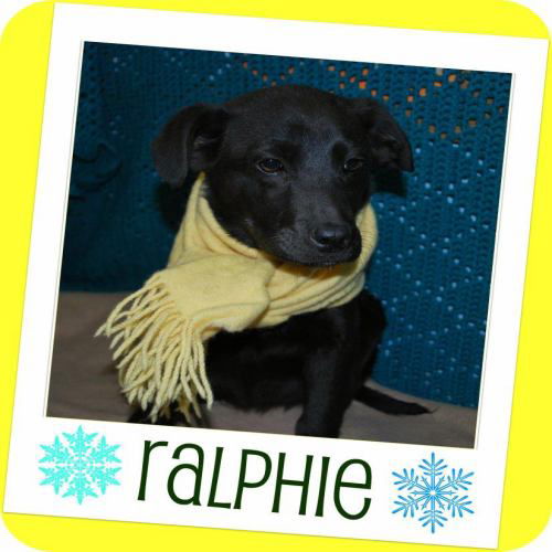 Ralphie: adopted