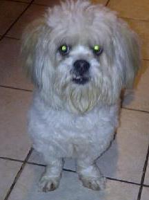 Max: adopted