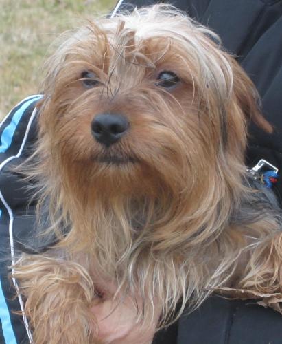 Shupe: adopted