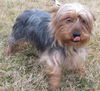 Shupe: adopted