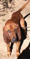 Big Jake:: Courtesy posting for his family