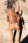 Big Jake:: Courtesy posting for his family