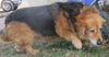 Senior Chance: Reclaimed