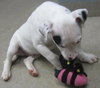 Tyson: Adopted