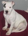 Tyson: Adopted