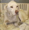 Casper: RECLAIMED