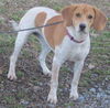 Shellie (