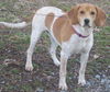 Shellie (