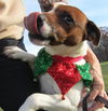 Alfie: Adopted