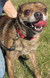 Hector: Adopted