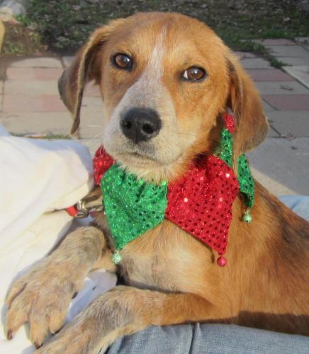Marvel: adopted