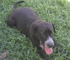 June: Adopted