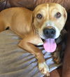 Emily: Fostered