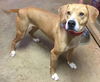 Emily: Fostered