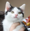 Lucy-fostered