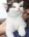 Lucy-fostered