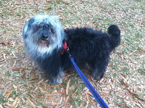 Winston: Fostered