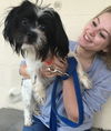 Nox: fostered