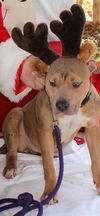 Hope-Shelter**URGENT**