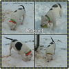 Raquel-Shelter**URGENT**