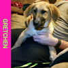 Gretchen-Fostered