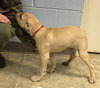 Max: fostered