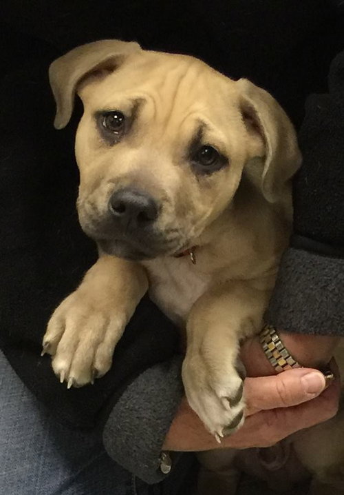 Max: fostered