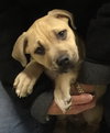 Max: fostered