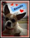 Bandit: Pending