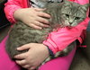 Cupid: SPECIAL NEEDS: URGENT!