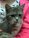 Cupid: SPECIAL NEEDS: URGENT!