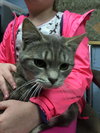 Cupid: SPECIAL NEEDS: URGENT!