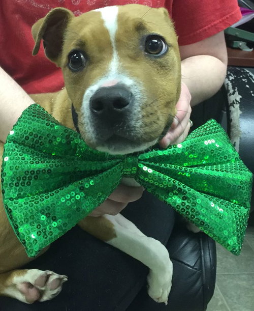Tuck-Fostered