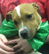 Tuck-Fostered