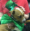 Tuck-Fostered