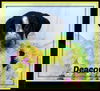 LL Deacon: Fostered