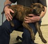 Nora-Fostered