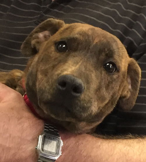 Nora-Fostered