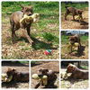 Nora-Fostered